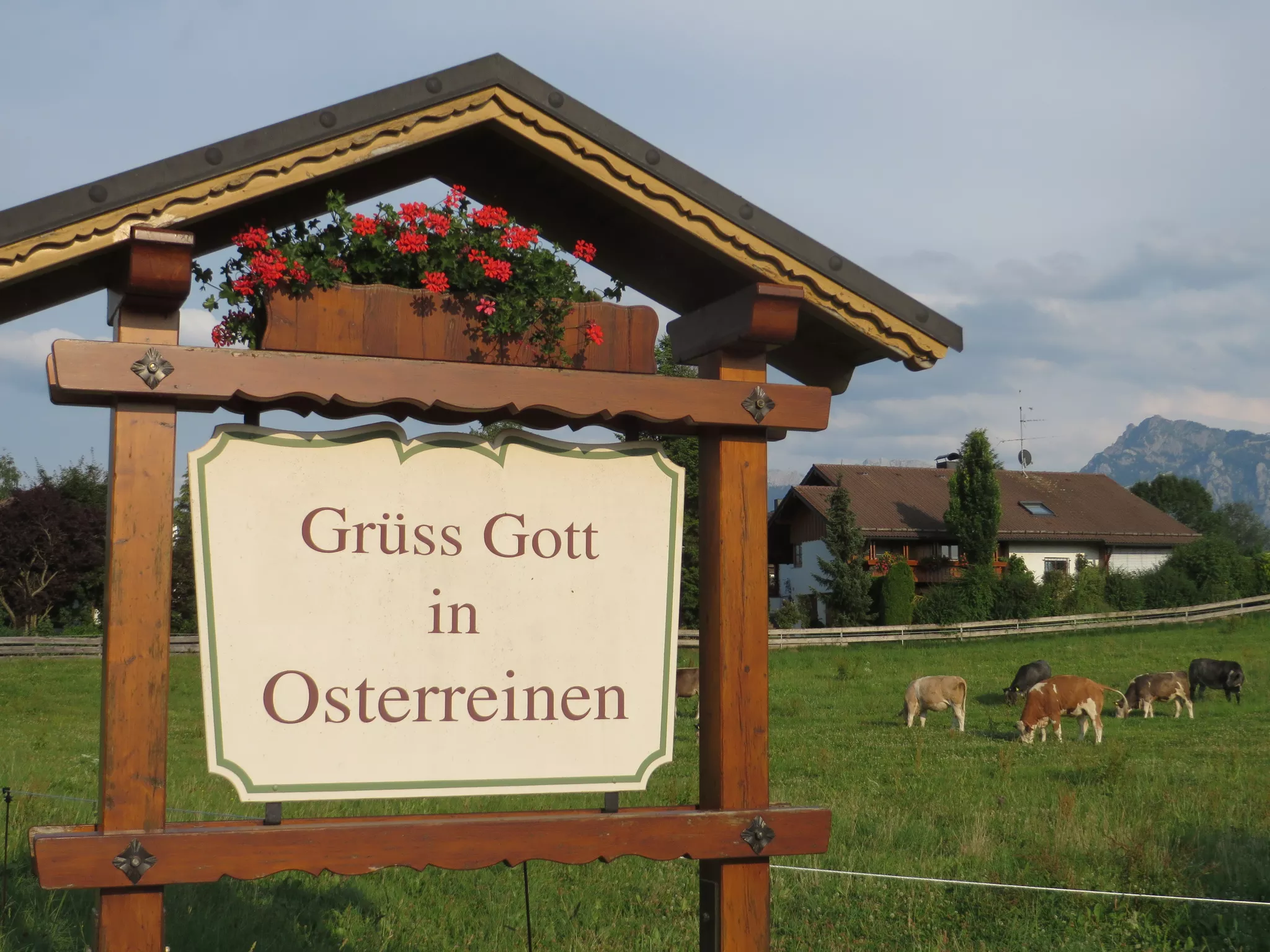 Ein Holzschild mit der Aufschrift „Grüß Gott in Osterreinen“ steht auf einer grünen Wiese mit grasenden Kühen. Rote Blumen zieren die Oberseite des Schildes, und unter einem teilweise bewölkten Himmel ist ein Haus mit Bergen im Hintergrund zu sehen.
