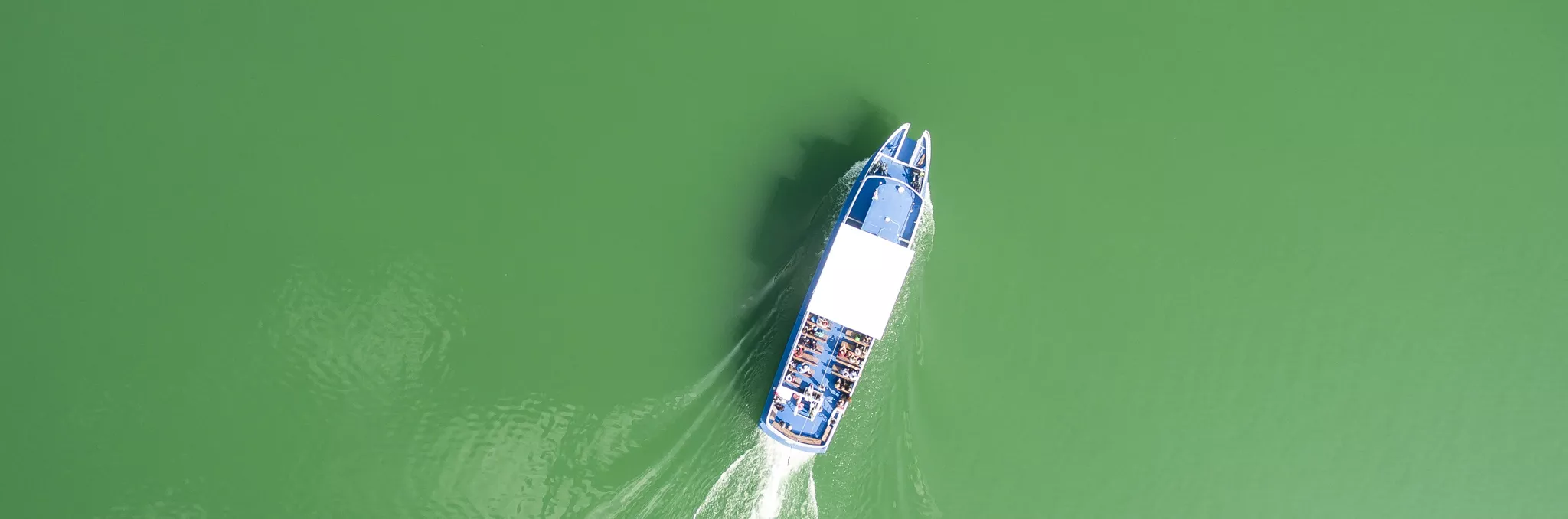 Eine Luftaufnahme eines Bootes mit weißem Deck und blauen Akzenten, das durch ruhiges, grünes Wasser fährt und eine Spur hinter sich lässt.