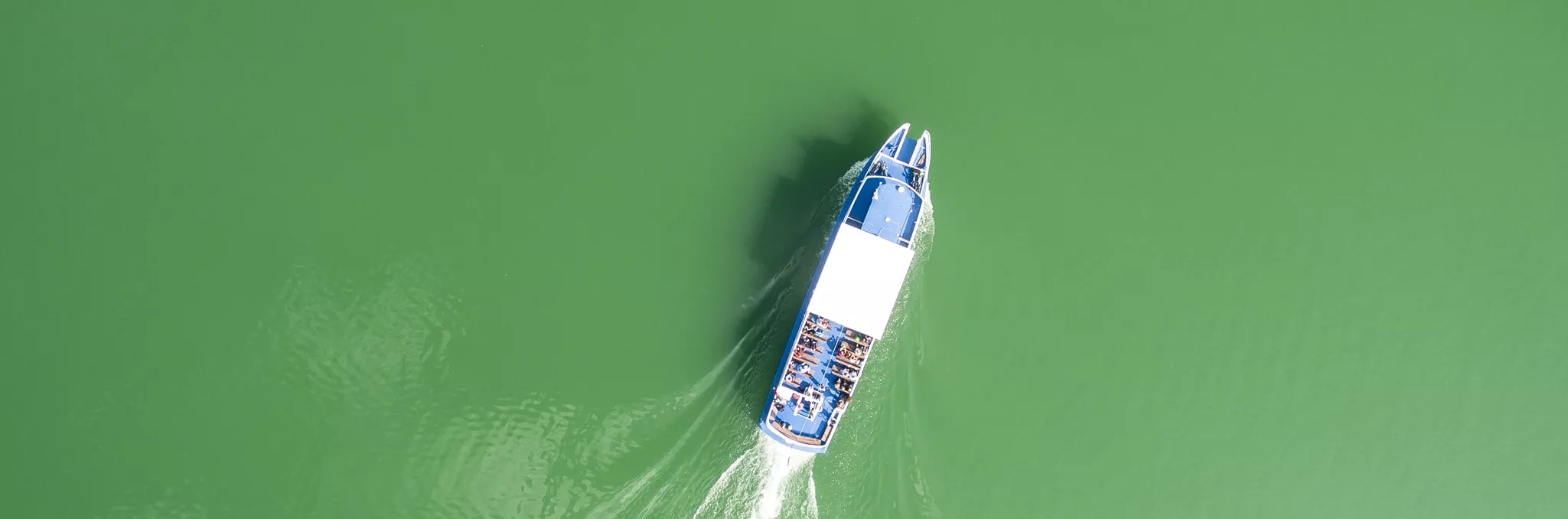 Eine Luftaufnahme eines Bootes mit weißem Deck und blauen Akzenten, das durch ruhiges, grünes Wasser fährt und eine Spur hinter sich lässt.