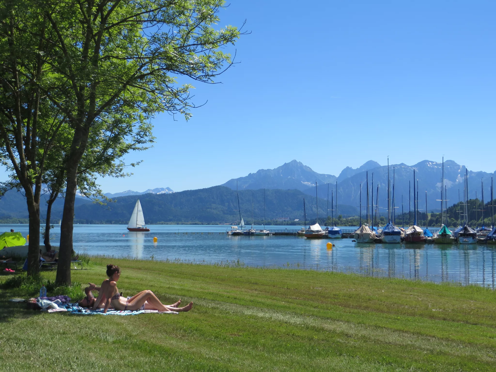 Zwei Menschen entspannen sich am grasbewachsenen Seeufer unter einem Baum, im Hintergrund liegen Segelboote an einem Pier und Berge. Ein Segelboot gleitet unter einem klaren Himmel über das ruhige blaue Wasser.